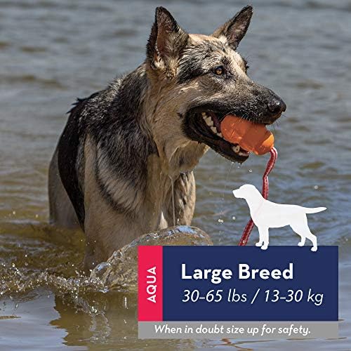 KONG - Aqua - Úszó Hozza Játék a Vízzel Játszani, - Nagytestű Kutyáknak