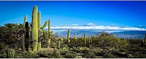 AWERT 24x16 cm Terrárium Háttér, Kék Ég, Fehér Felhők Rock Óriási Kaktusz Góbi-Sivatagban Hüllő Élőhely Háttér Vinil